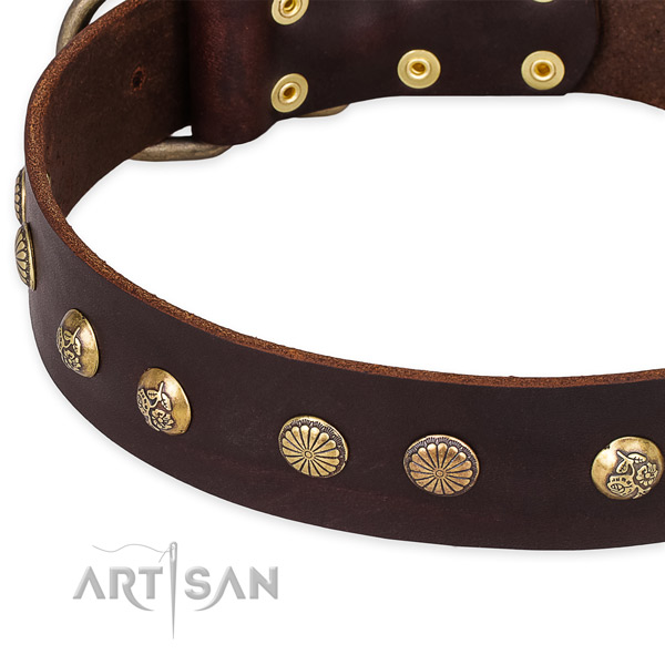 Full grain leather collar with reliable buckle for your impressive dog