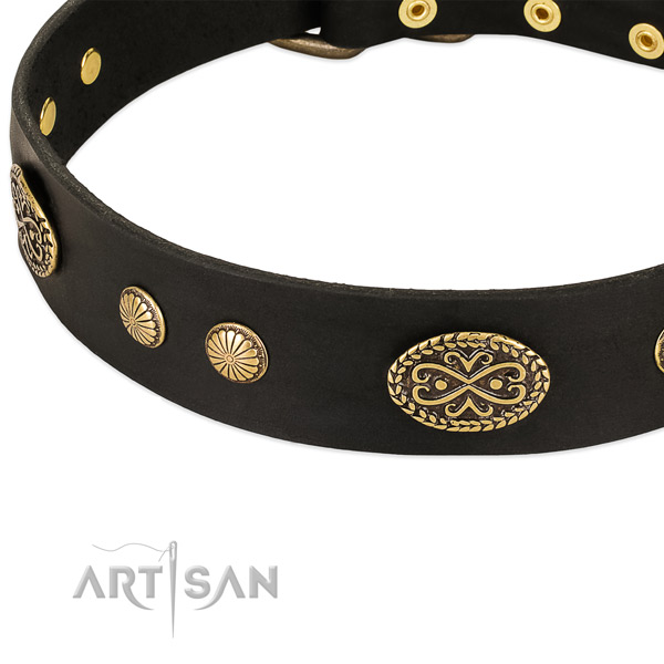 Corrosion proof embellishments on leather dog collar for your pet
