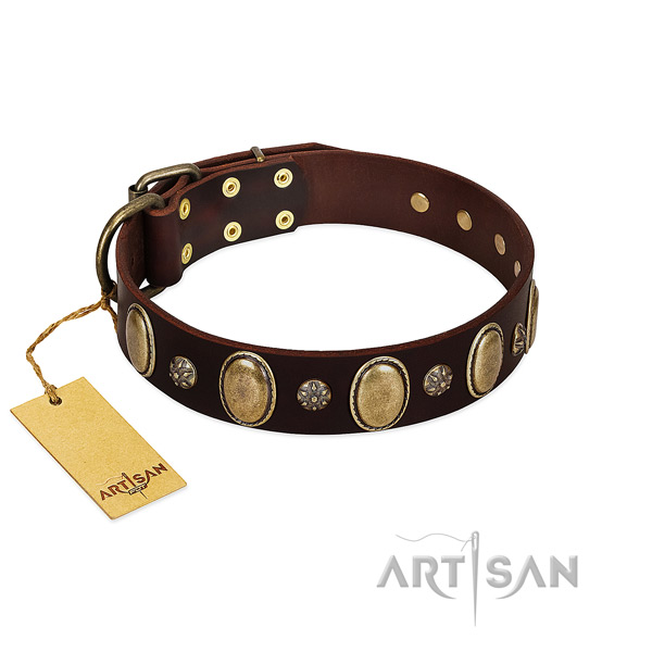 Stylish walking flexible leather dog collar with adornments