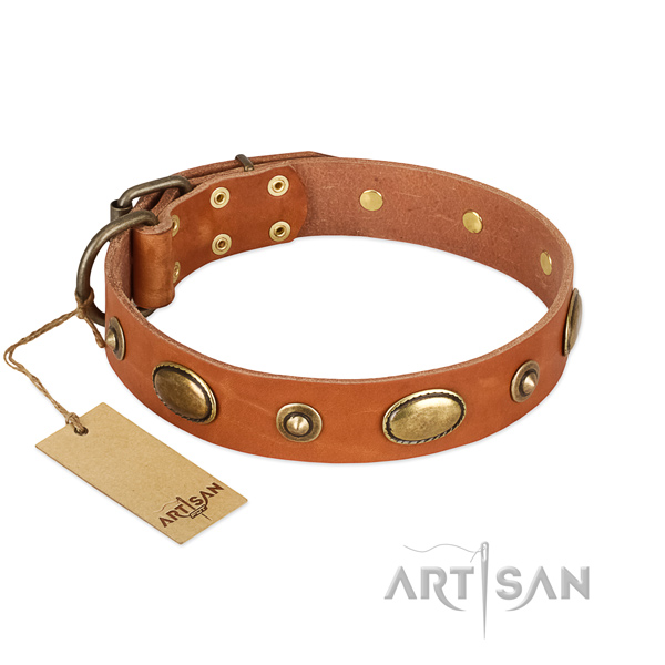 Inimitable genuine leather collar for your dog