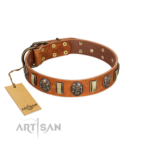 Easy to adjust full grain genuine leather dog collar for comfortable wearing