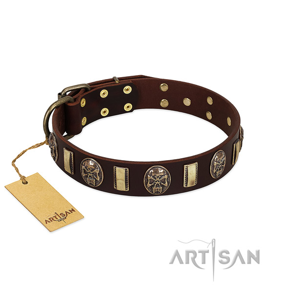 Designer natural genuine leather dog collar for basic training