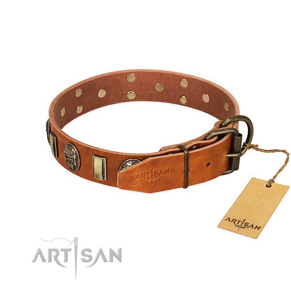 Genuine leather dog collar with strong buckle and embellishments