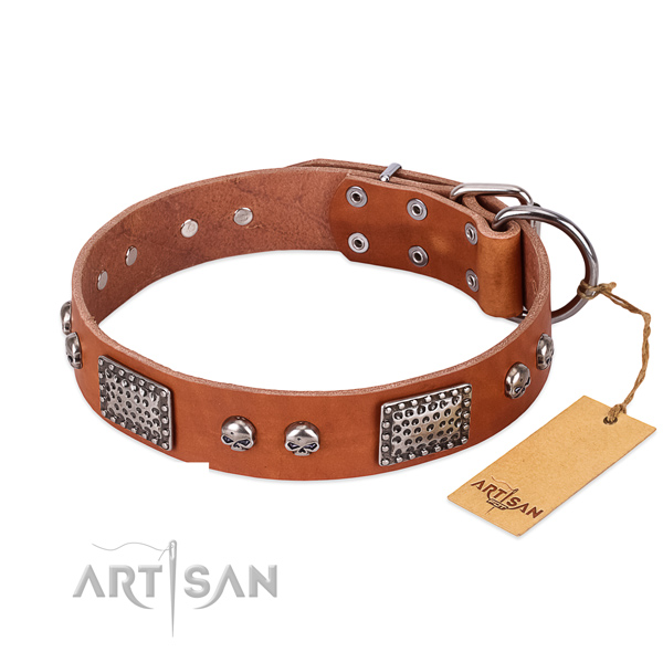 Adjustable natural genuine leather dog collar for everyday walking your dog