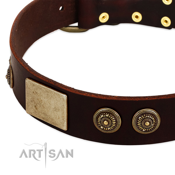 Strong traditional buckle on leather dog collar for your four-legged friend