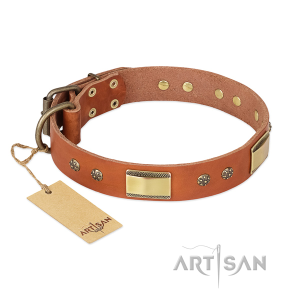 Perfect fit natural genuine leather collar for your four-legged friend