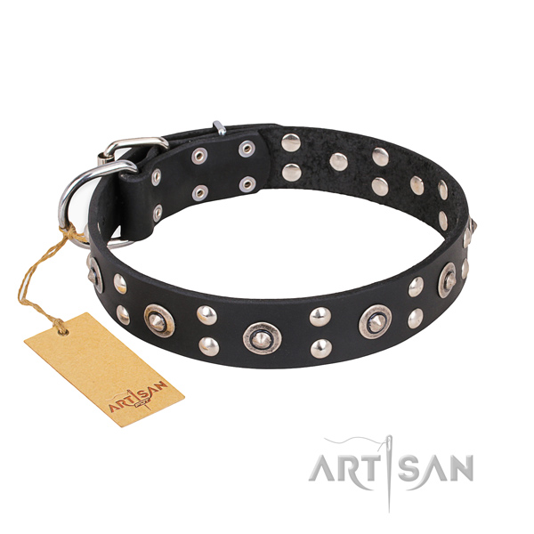 Daily use handcrafted dog collar with durable hardware