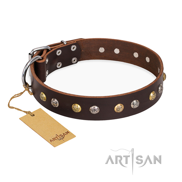 Walking extraordinary dog collar with reliable traditional buckle