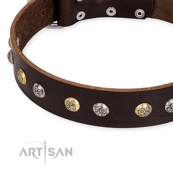 Genuine leather dog collar with awesome strong adornments