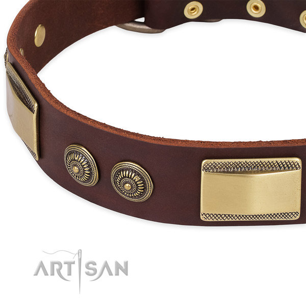 Strong studs on full grain leather dog collar for your four-legged friend