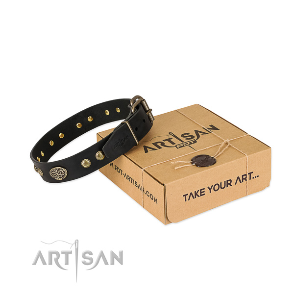 Reliable adornments on full grain leather dog collar for your dog