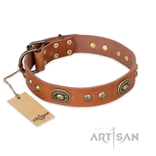 Unique natural leather dog collar for fancy walking