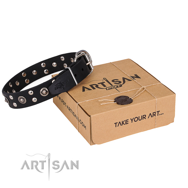 Walking dog collar with Remarkable corrosion proof embellishments