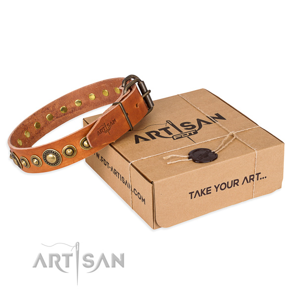 Top notch genuine leather dog collar created for everyday use