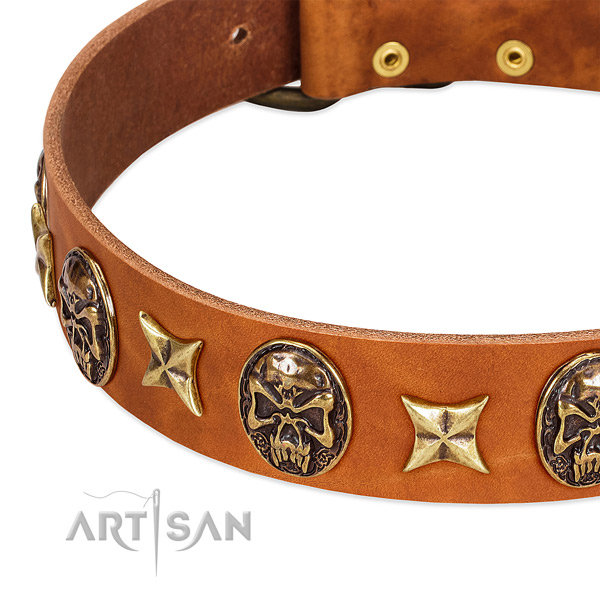 Rust-proof D-ring on full grain genuine leather dog collar for your canine