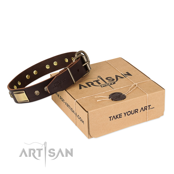 Adjustable full grain genuine leather collar for your stylish canine