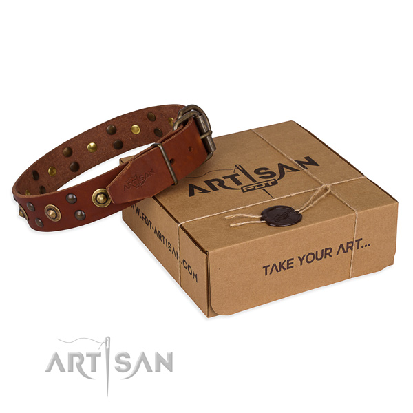Reliable hardware on full grain genuine leather collar for your handsome canine