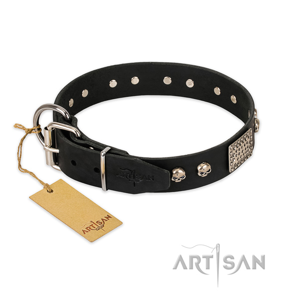 Rust resistant decorations on daily use dog collar