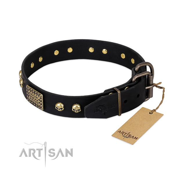 Rust resistant buckle on stylish walking dog collar