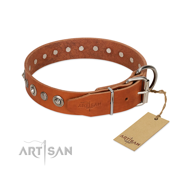 Quality natural leather dog collar with stylish design adornments
