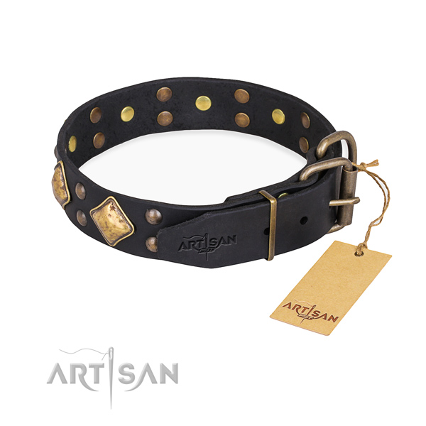 Genuine leather dog collar with fashionable strong adornments