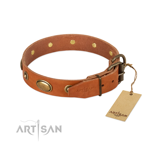 Rust resistant traditional buckle on full grain leather dog collar for your pet