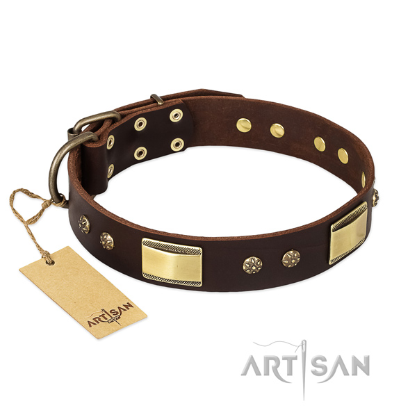 Leather dog collar with strong traditional buckle and adornments