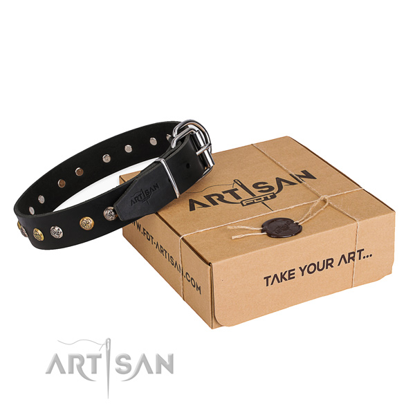 Soft leather dog collar crafted for basic training