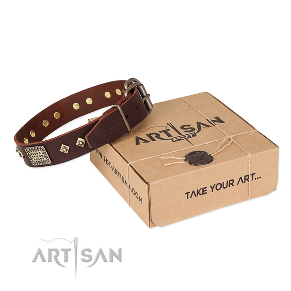 Trendy leather collar for your lovely pet