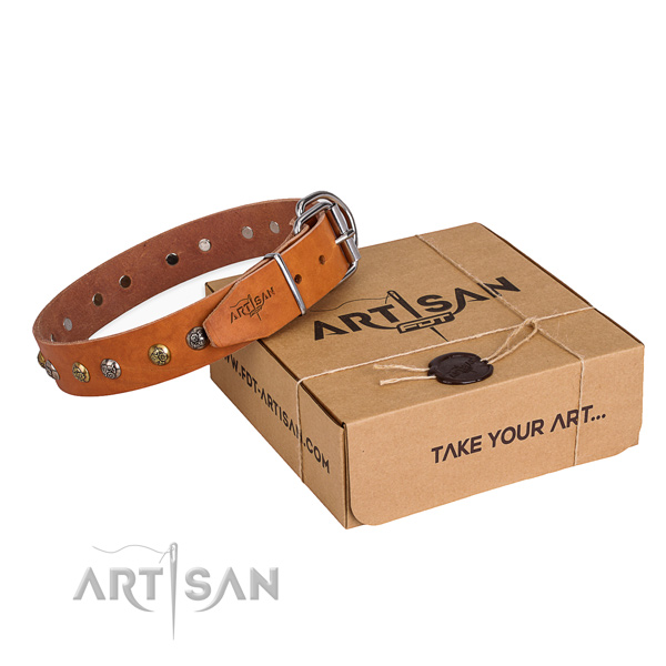 Daily use dog collar with Unique rust resistant decorations