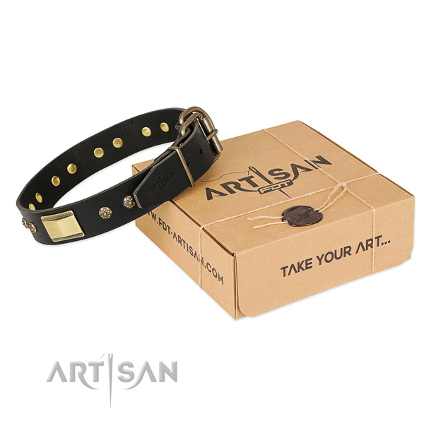 Impressive natural leather collar for your attractive four-legged friend