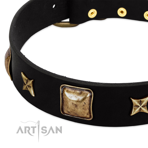 Full grain genuine leather dog collar with exquisite adornments