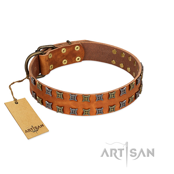 High quality leather dog collar with embellishments for your canine