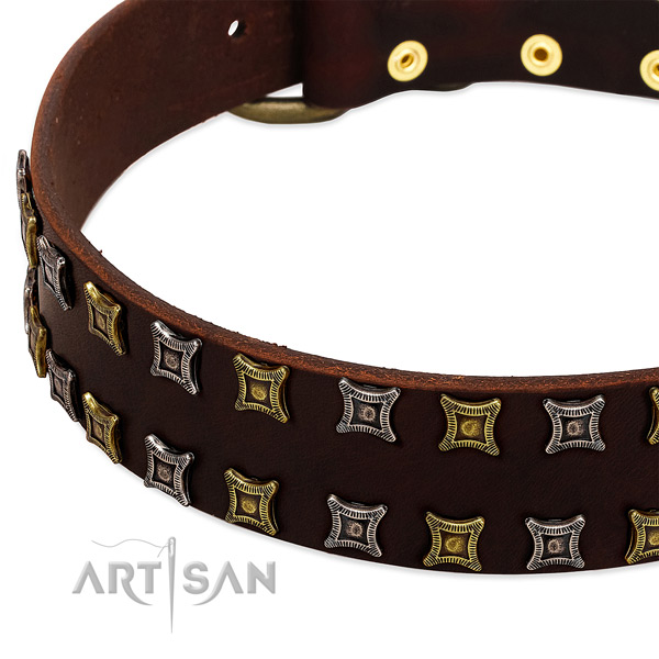 Top rate natural leather dog collar for your beautiful four-legged friend