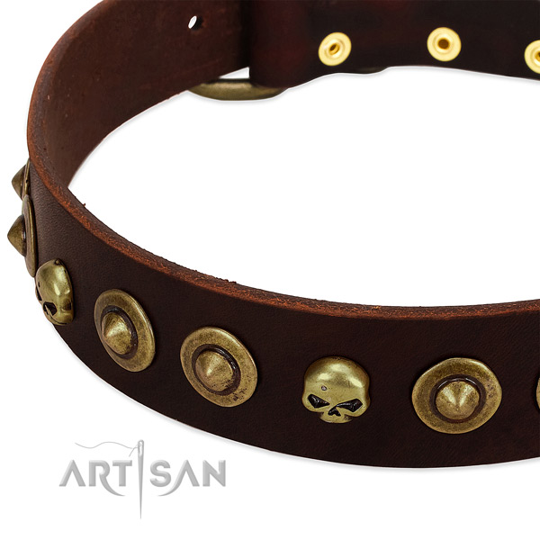 Awesome adornments on natural leather collar for your pet
