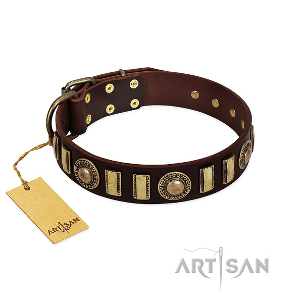 Best quality full grain leather dog collar with reliable hardware