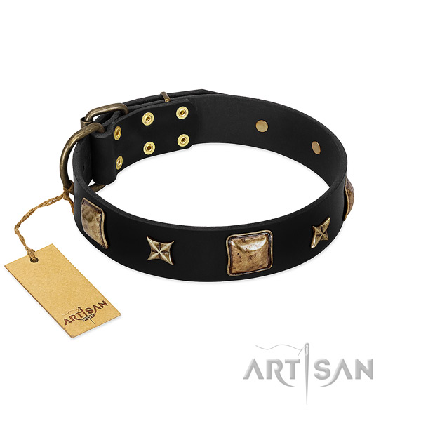 Full grain genuine leather dog collar of top rate material with stylish design embellishments