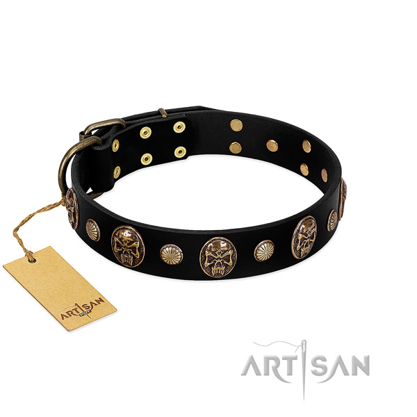 Natural leather dog collar with corrosion resistant embellishments