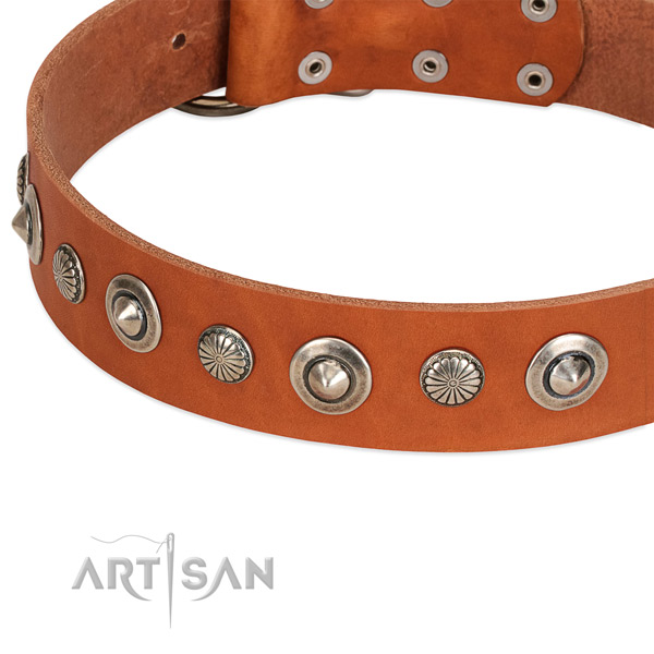 Incredible adorned dog collar of best quality natural leather