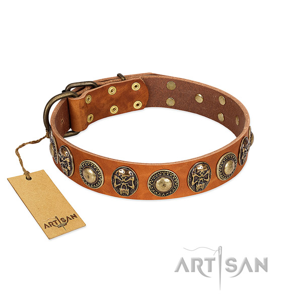 Easy to adjust full grain leather dog collar for basic training your canine