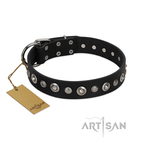 Fine quality natural leather dog collar with fashionable adornments