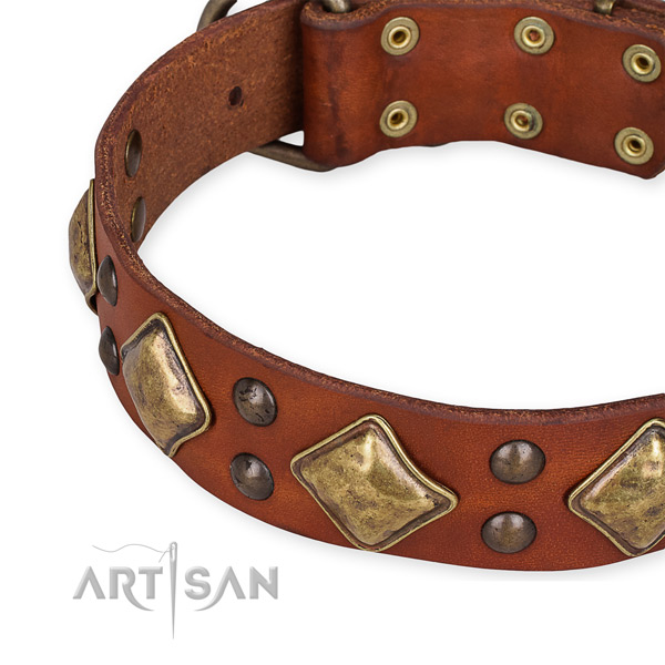 Genuine leather collar with durable fittings for your lovely four-legged friend