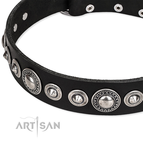 Comfy wearing studded dog collar of durable full grain leather