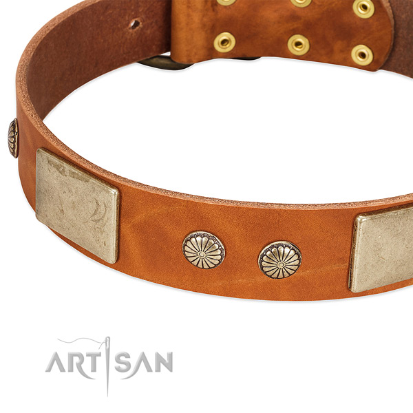 Durable embellishments on full grain natural leather dog collar for your dog