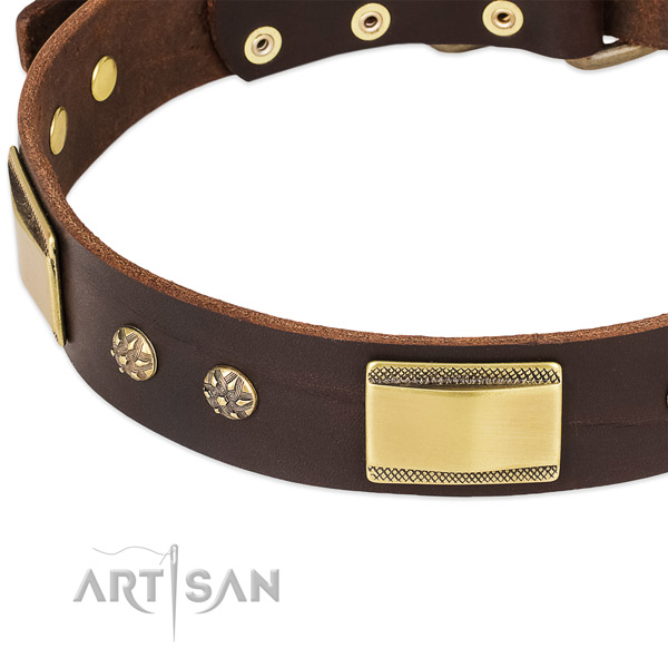 Reliable D-ring on leather dog collar for your canine