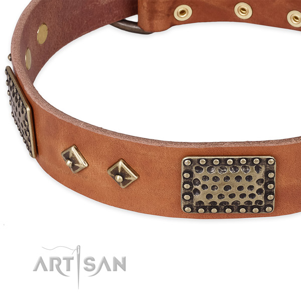 Corrosion proof fittings on full grain genuine leather dog collar for your doggie