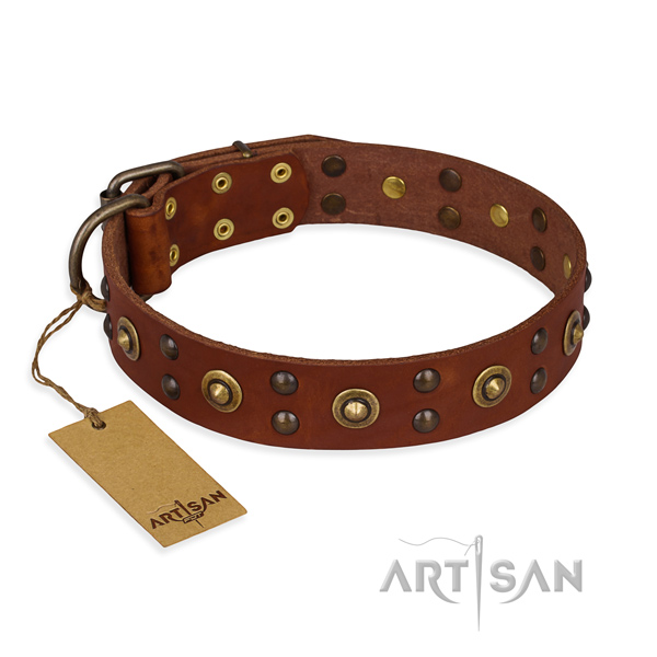 Amazing genuine leather dog collar with rust-proof traditional buckle