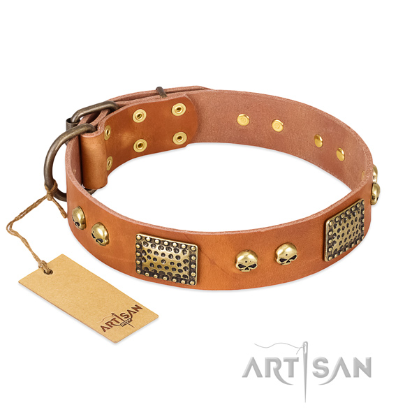 Easy adjustable natural leather dog collar for stylish walking your four-legged friend