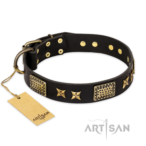 Studded full grain leather dog collar with durable D-ring