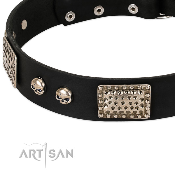 Reliable studs on full grain leather dog collar for your four-legged friend